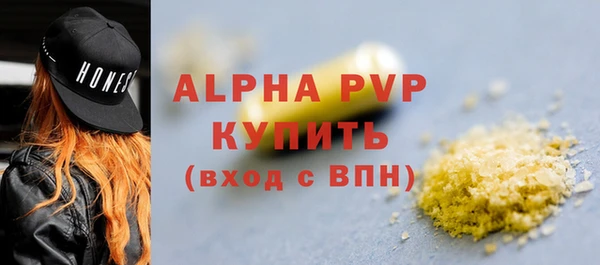 дживик Абаза