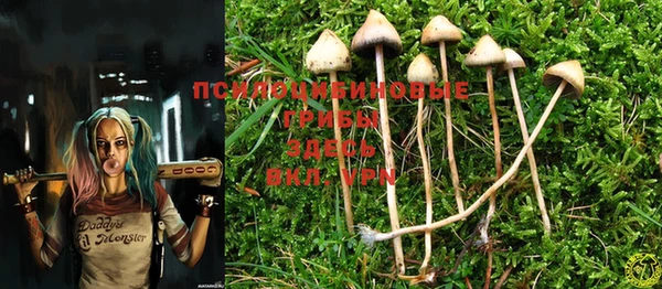 MESCALINE Алексин